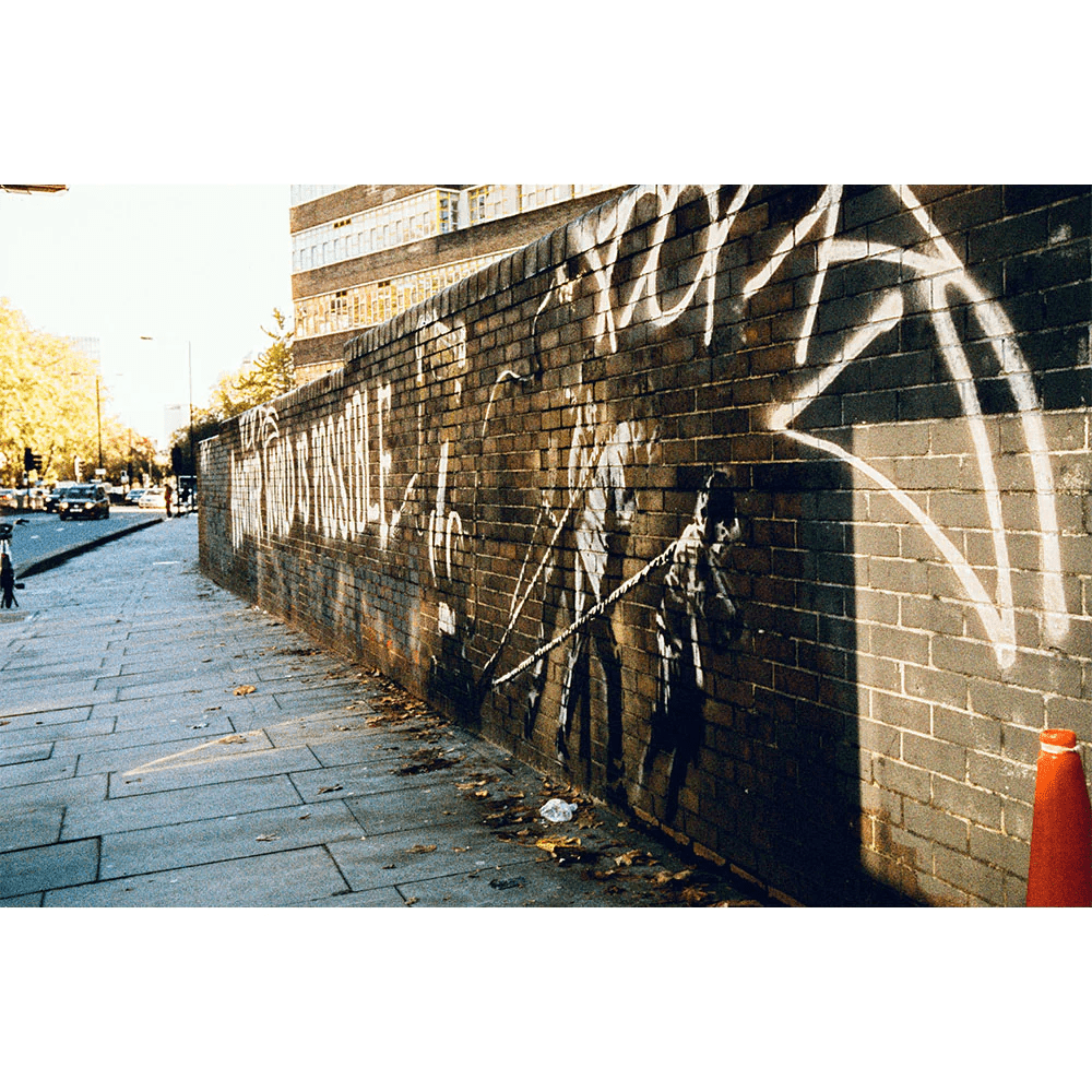 Harman Phoenix 200 [135 format] - CULT FILMHarman