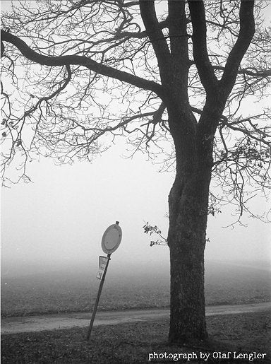 NoColorStudio No. 10 [135 format] - CULT FILMNoColorStudio