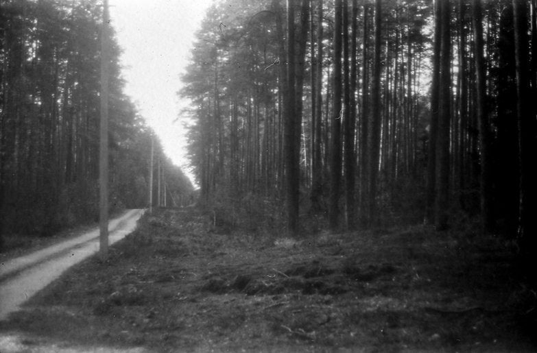 NoColorStudio No. 12 [135 format] - CULT FILMNoColorStudio