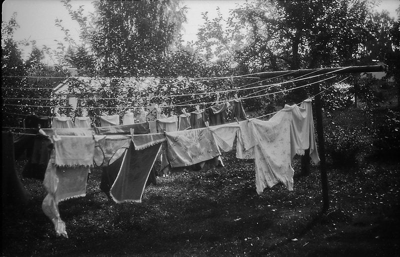 NoColorStudio No. 5 [135 format] - CULT FILMNoColorStudio