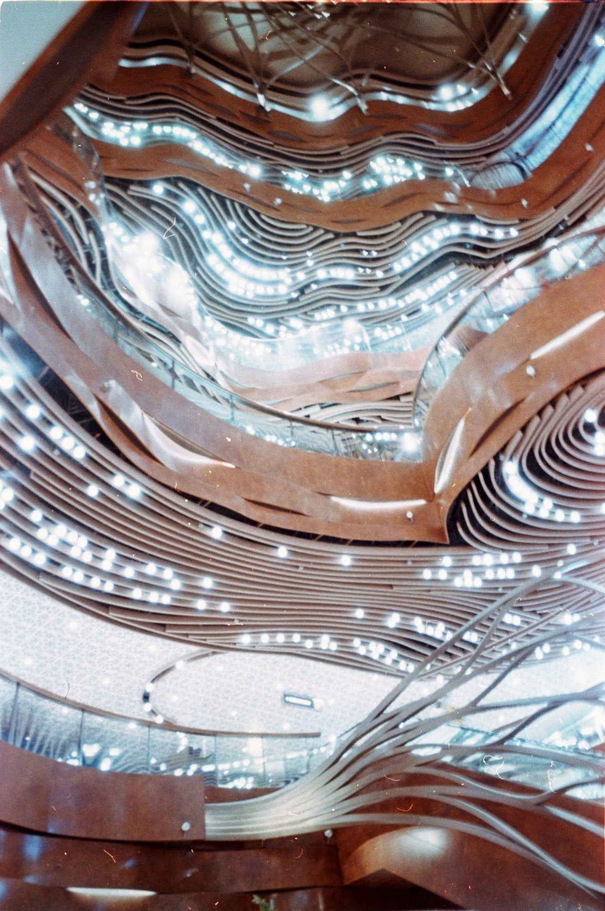 Fujifilm 業務用 100 24張 [135 format] - CULT FILMFujifilm