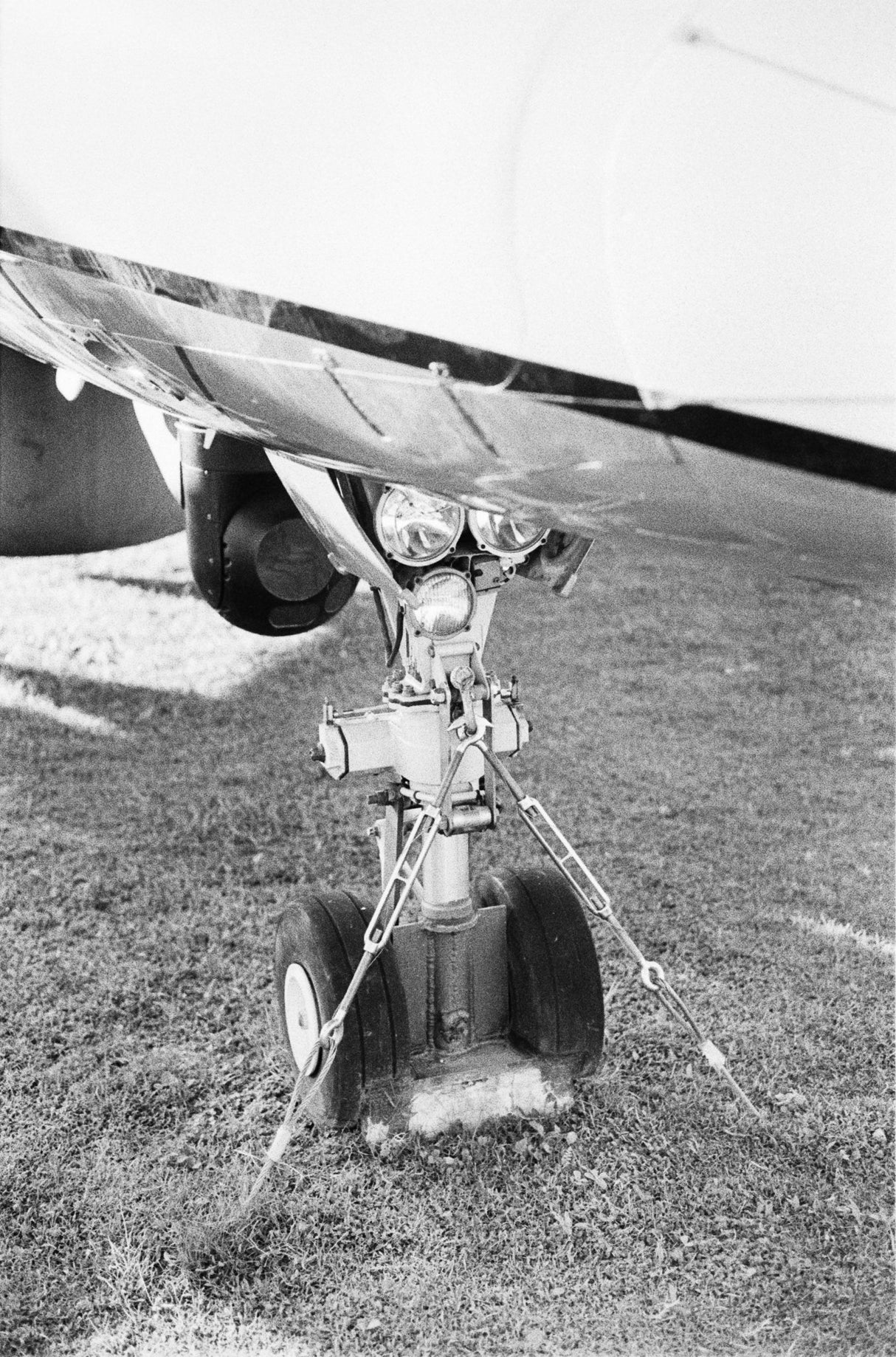 Ilford HP5 Plus [135 format] - CULT FILMIlford