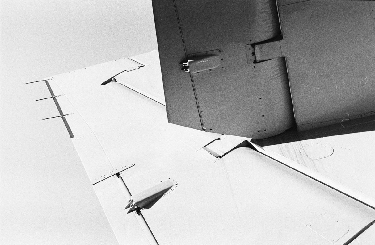 Ilford HP5 Plus [135 format] - CULT FILMIlford