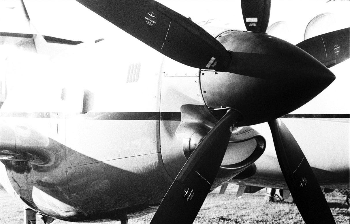 Ilford HP5 Plus [135 format] - CULT FILMIlford