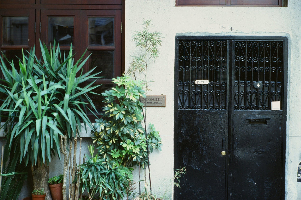 Kodak Ektachrome E100 [135 format] - CULT FILMKodak