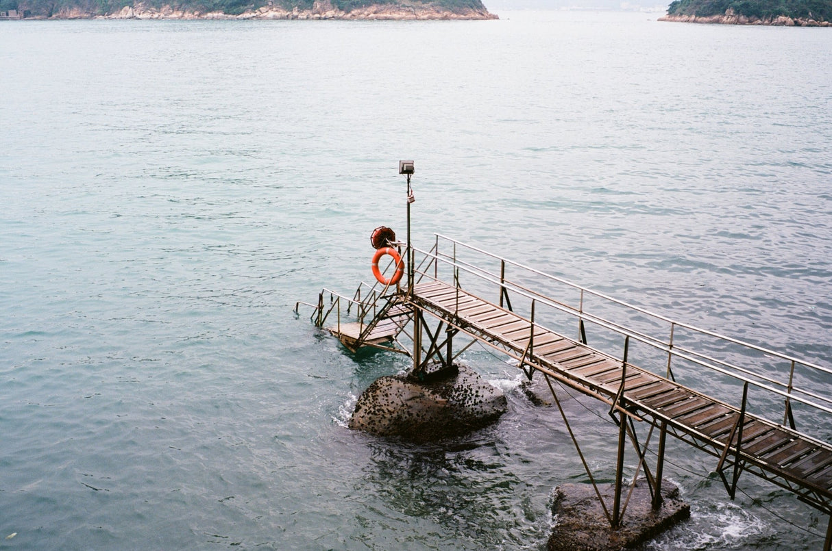 Kodak Ektar 100 [135 format] - CULT FILMKodak