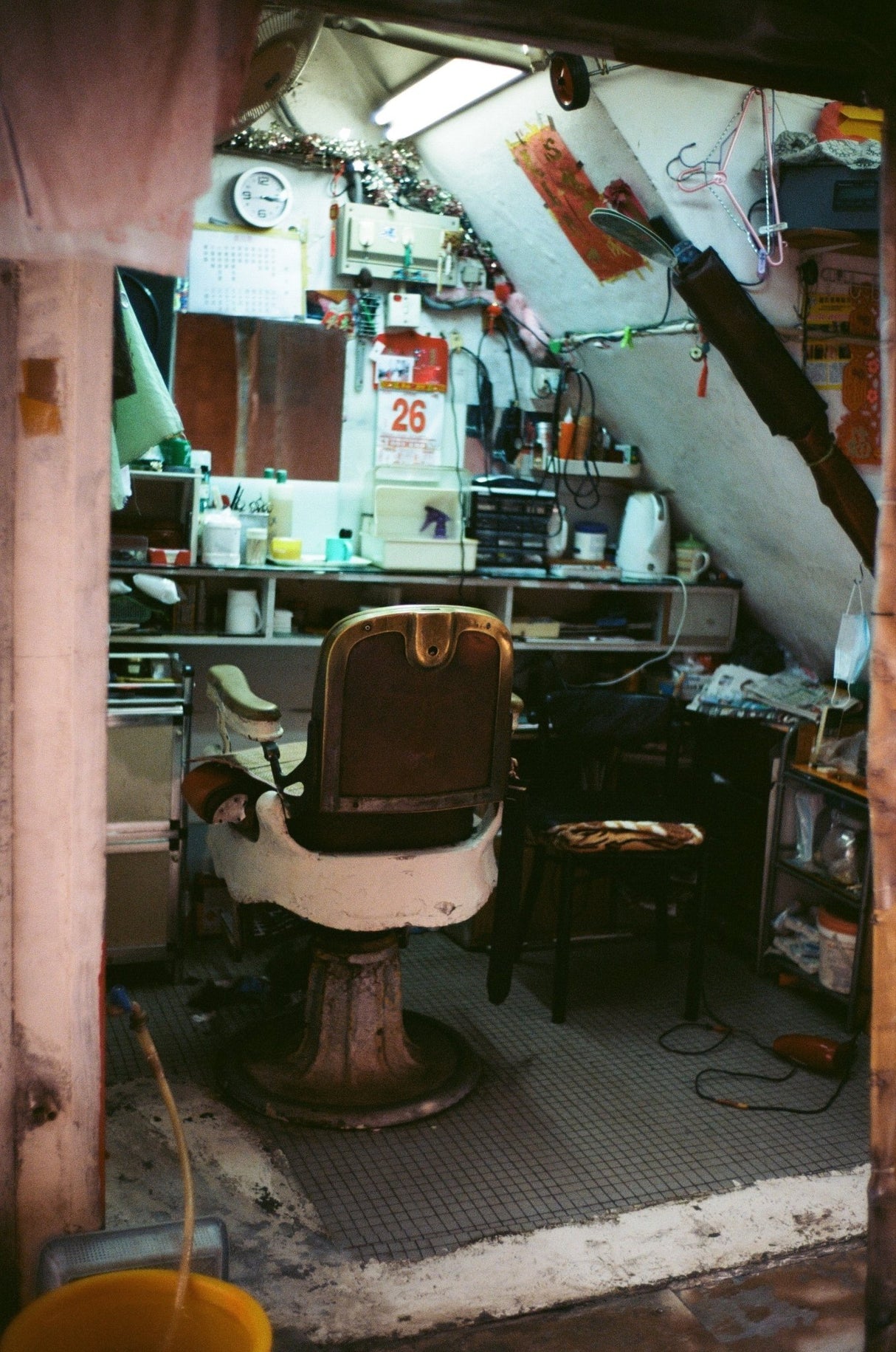 Kodak Ektar 100 [135 format] - CULT FILMKodak