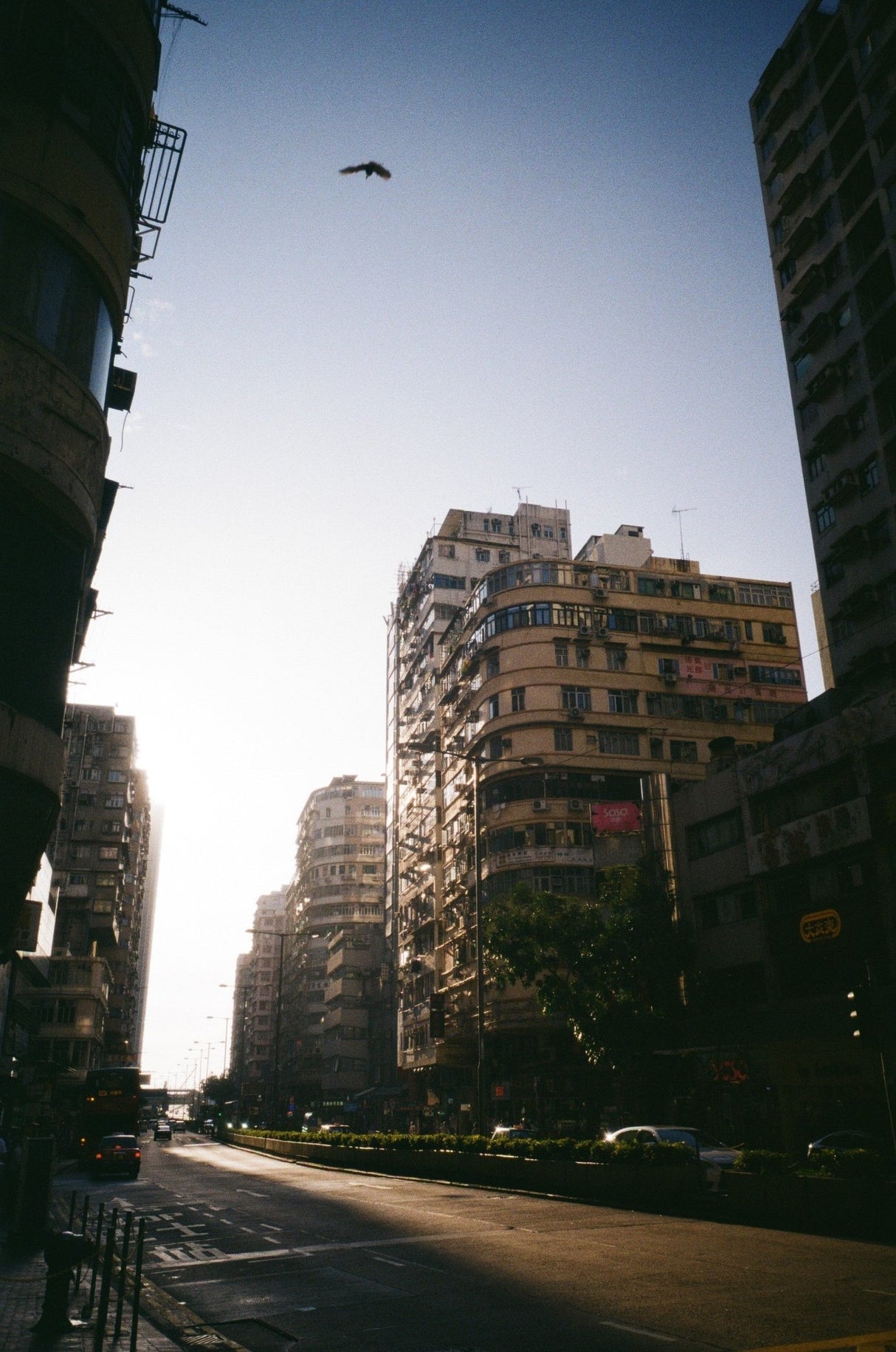 Kodak Gold 200 [135 format 24 exp] - CULT FILMKodak