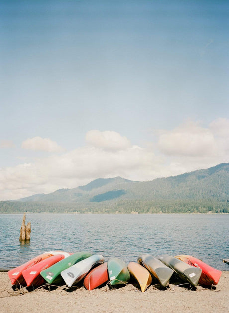 Kodak Portra 400 [135 format] - CULT FILMKodak