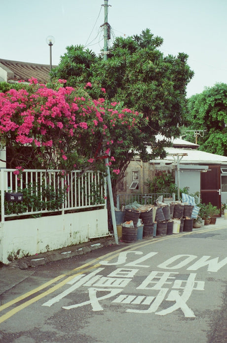 Kodak Vision 3 200T 5213 [135 format] - CULT FILMKodak