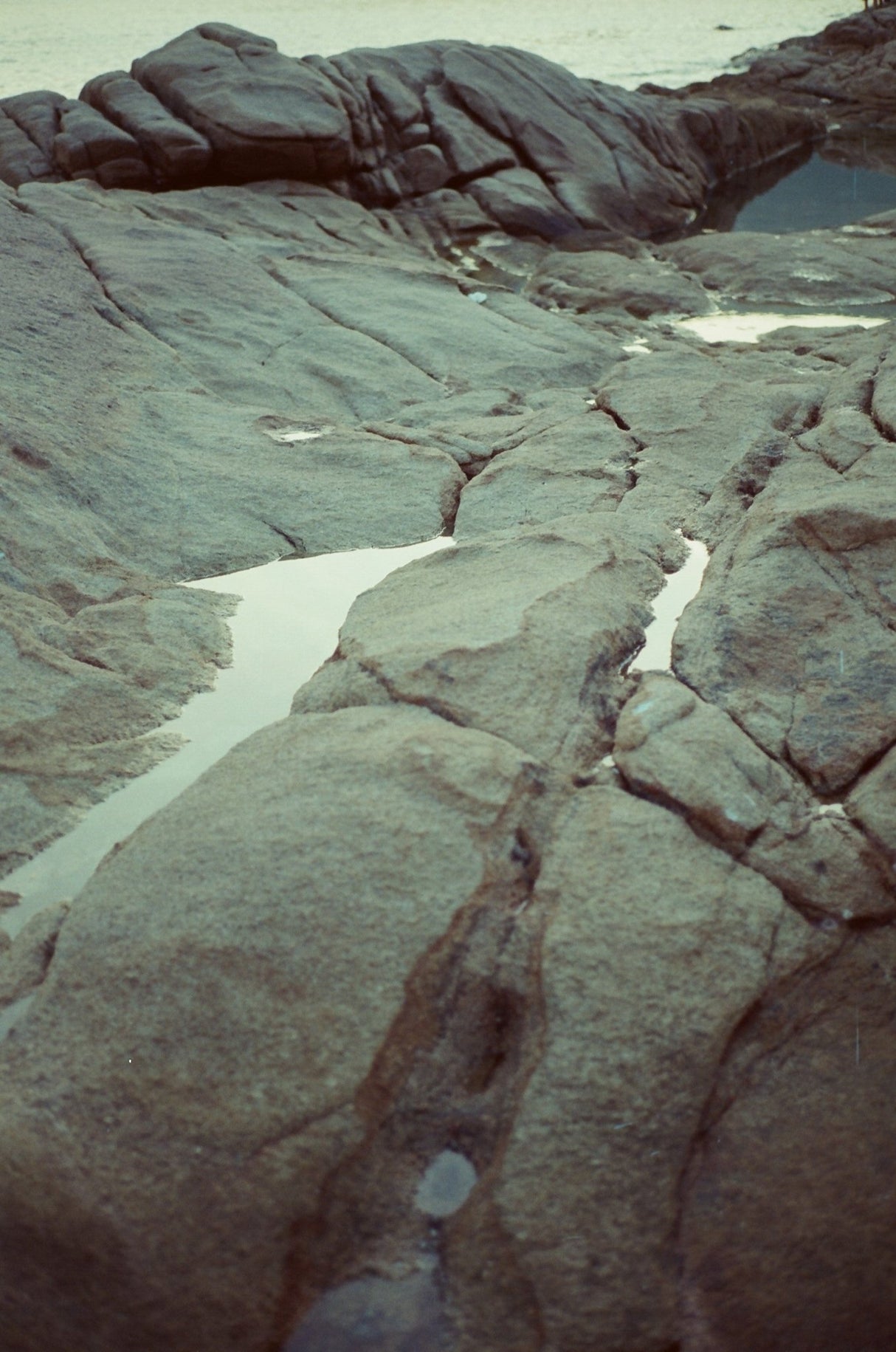 Kodak Vision 3 200T 5213 [135 format] - CULT FILMKodak